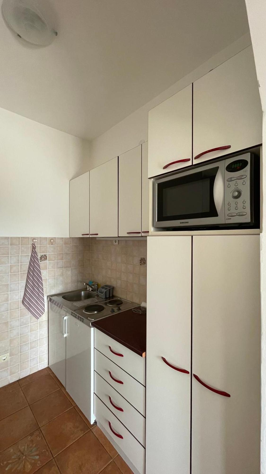 Apartment Tatjana Petrovac Kültér fotó