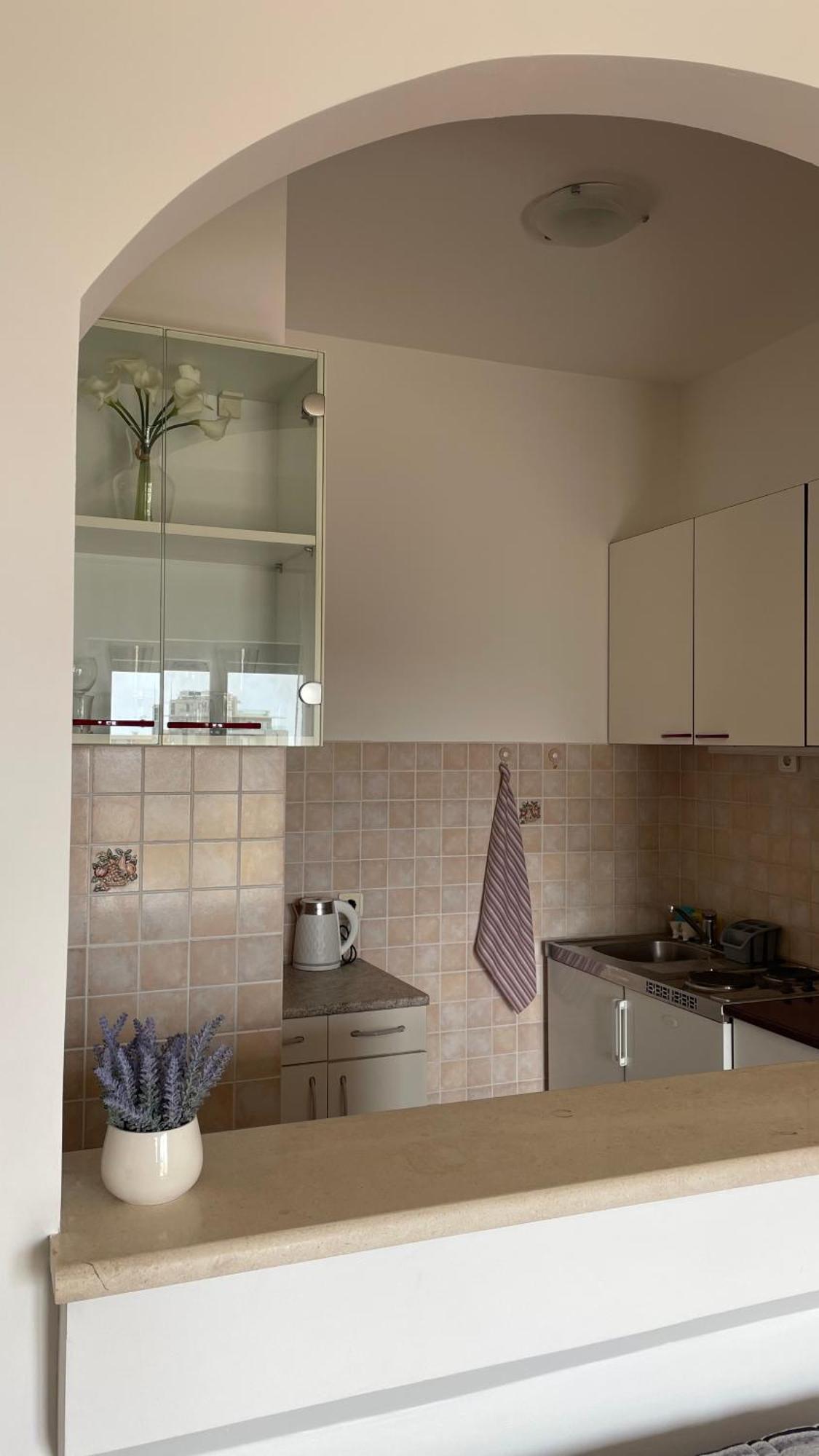 Apartment Tatjana Petrovac Kültér fotó